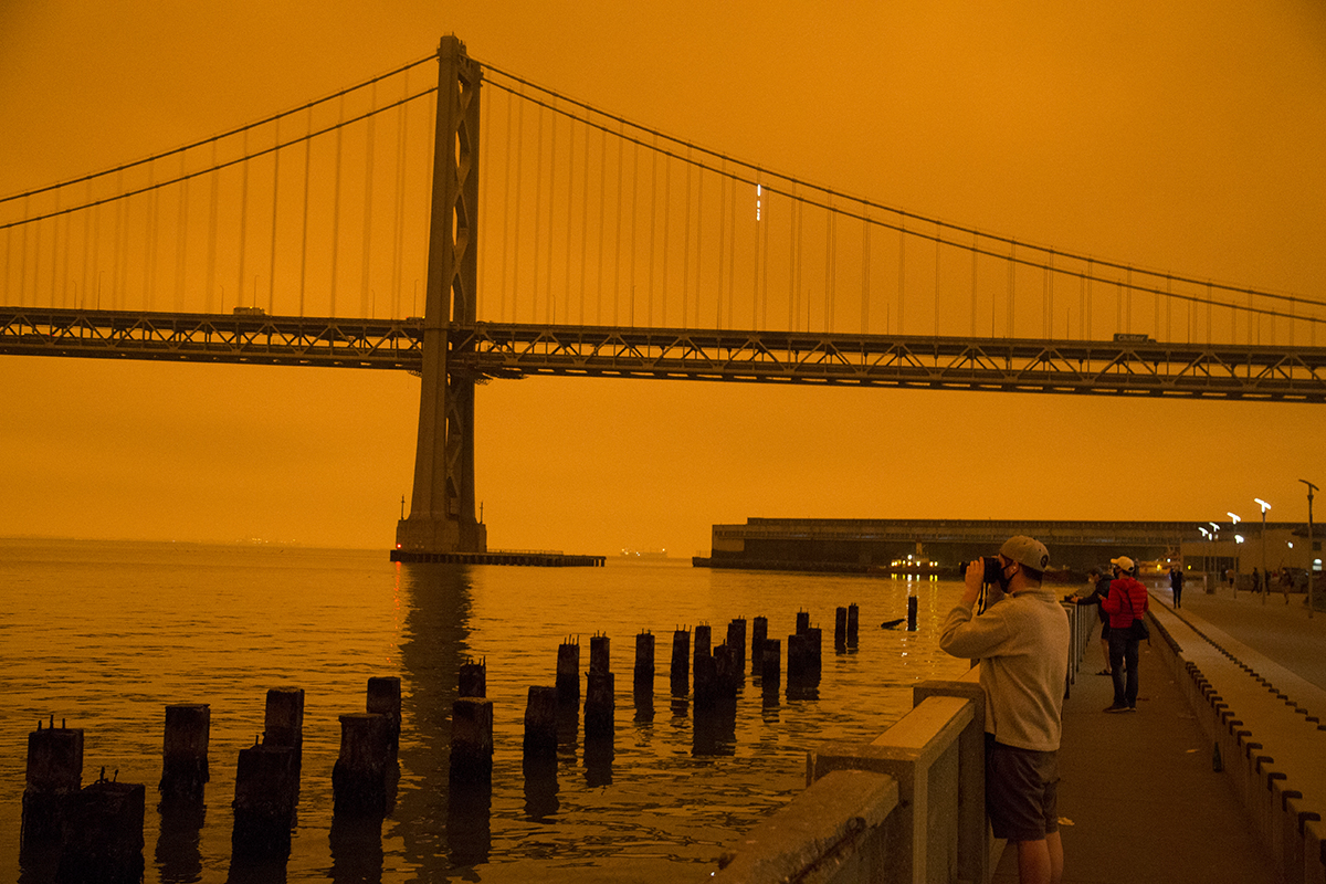 SF Examiner tweet media