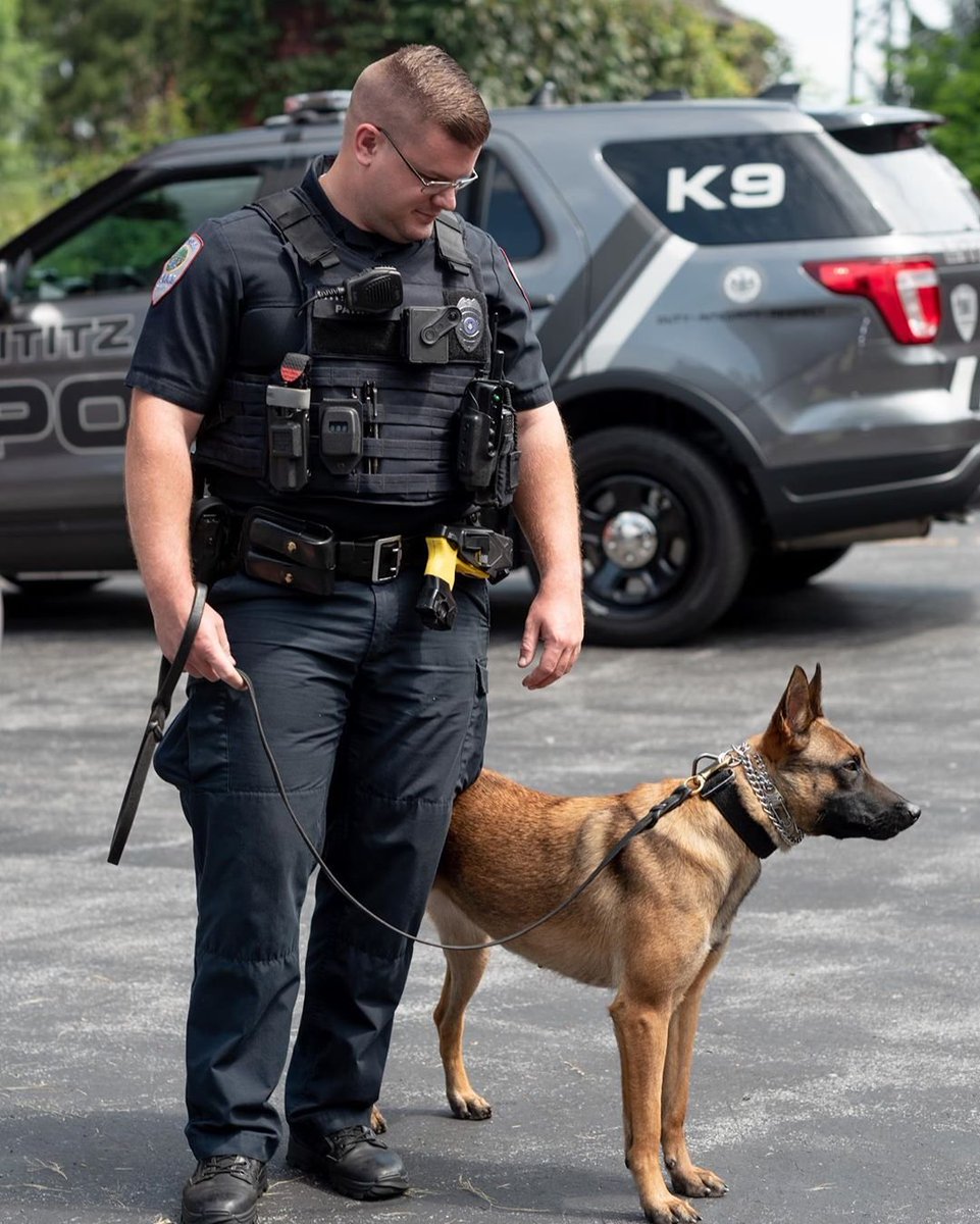 LititzPolice's tweet photo. #WorkingDogWednesday - K9 had a little photo shoot a few weeks ago thanks to our friends from @lititzpa
#LititzPolice #LBPDK9 https://t.co/xJbMd8yCEr