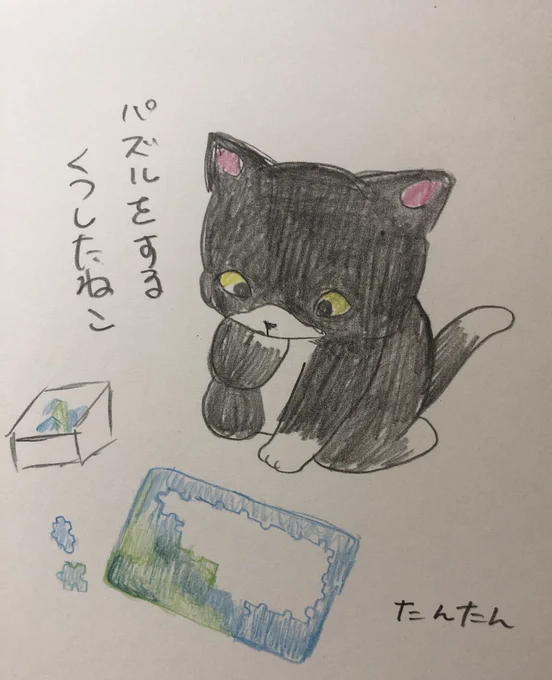 パズルをするくつしたねこ#イラスト #猫#色鉛筆#絵柄が好みって人がいればいいなぁ 