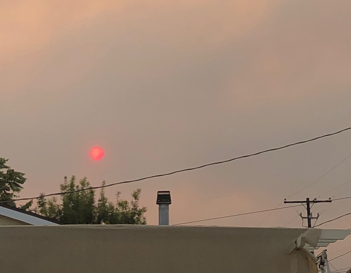 The sun was totally looking like a glowing ball the other day which seemed kinda weird until I remembered all the fires that are going on 😢