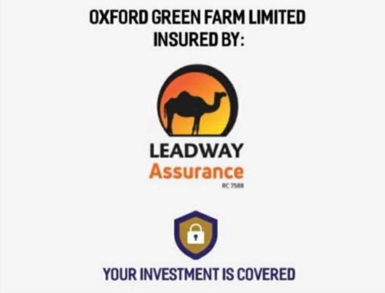 sholarsings's tweet photo. My company Oxford group is into Investments and Sale of lands. A deed of Agreement and a Post Dated Cheque are available for your Investments. We are Legit and Trusted. We have lands in different locations in Lagos and outside Lagos with the C of O..Contact me for more details... https://t.co/5RDjsN7y32