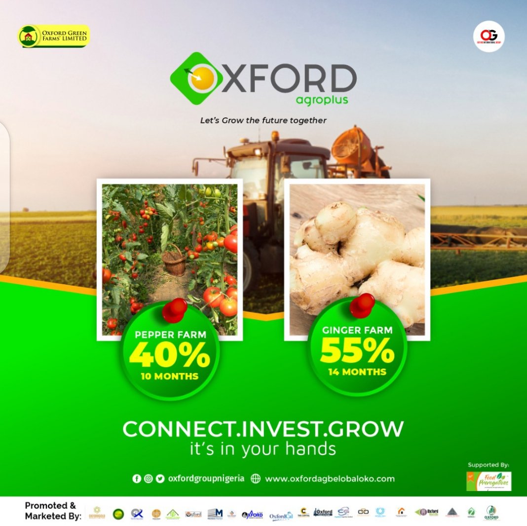 sholarsings's tweet photo. My company Oxford group is into Investments and Sale of lands. A deed of Agreement and a Post Dated Cheque are available for your Investments. We are Legit and Trusted. We have lands in different locations in Lagos and outside Lagos with the C of O..Contact me for more details... https://t.co/5RDjsN7y32