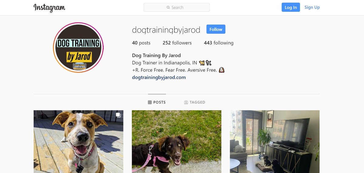 Dog Training by Jarod 🐶 (DogTrainerJarod) Twitter