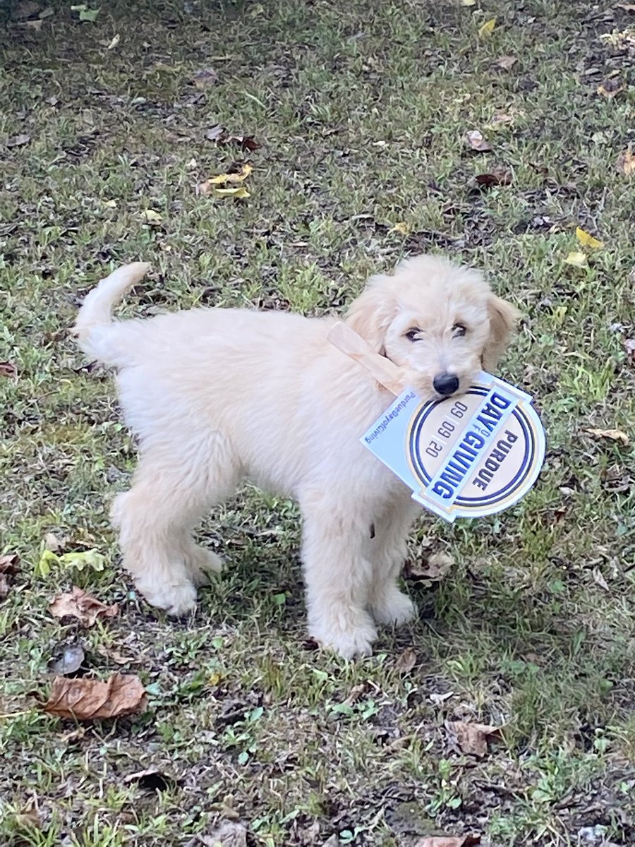 dmoofamily's tweet image. On #PurdueDayofGiving @PurdueConvos keeps me entertained!  #PurdueConvos