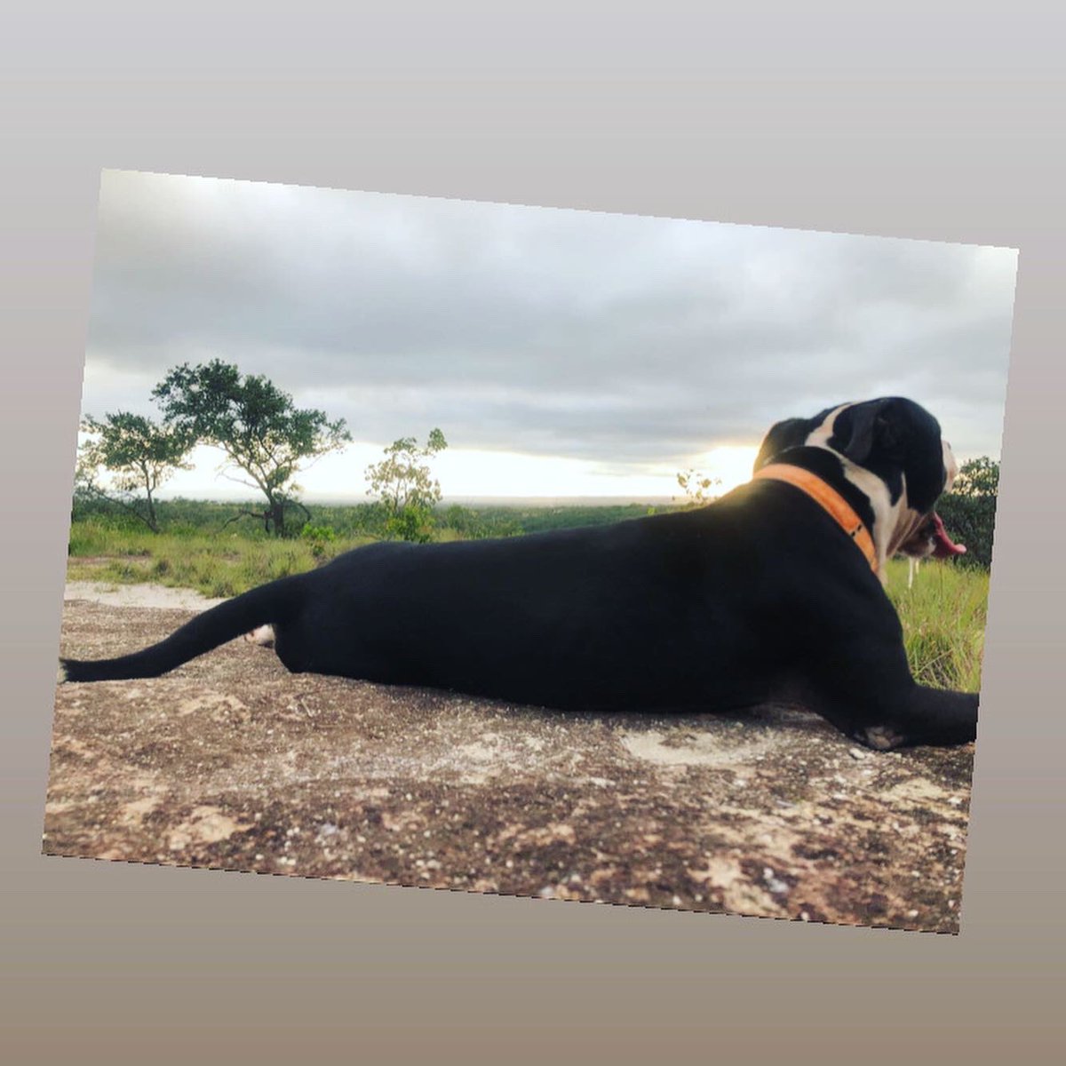 Más que un amigo acompañante, es mi hijo 🥰❤️