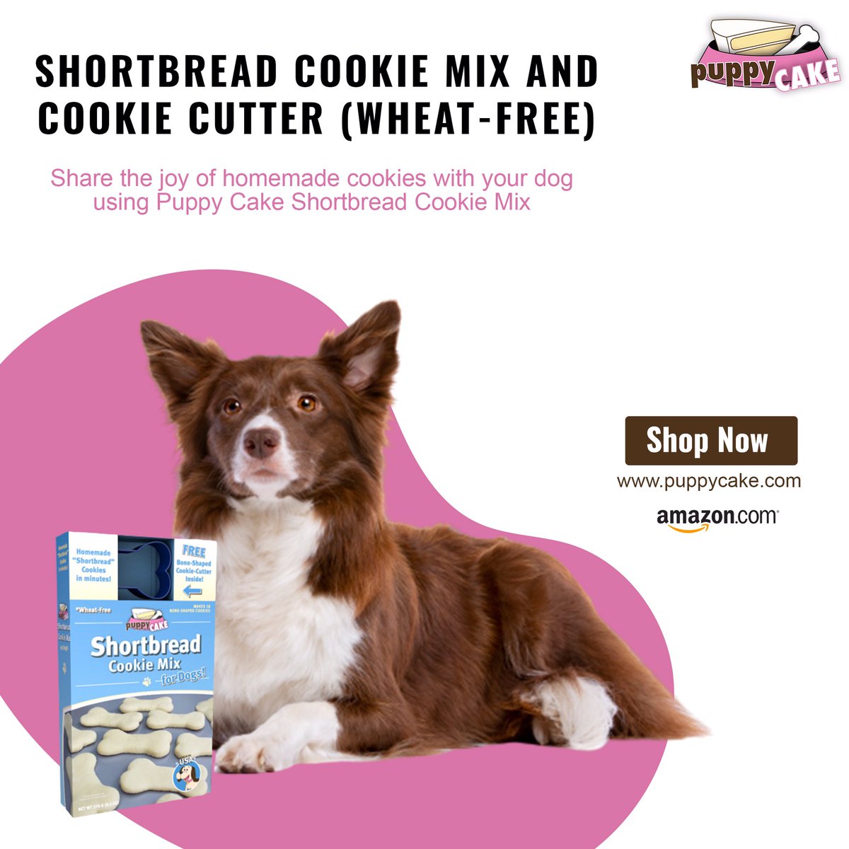 shark tank puppy cake