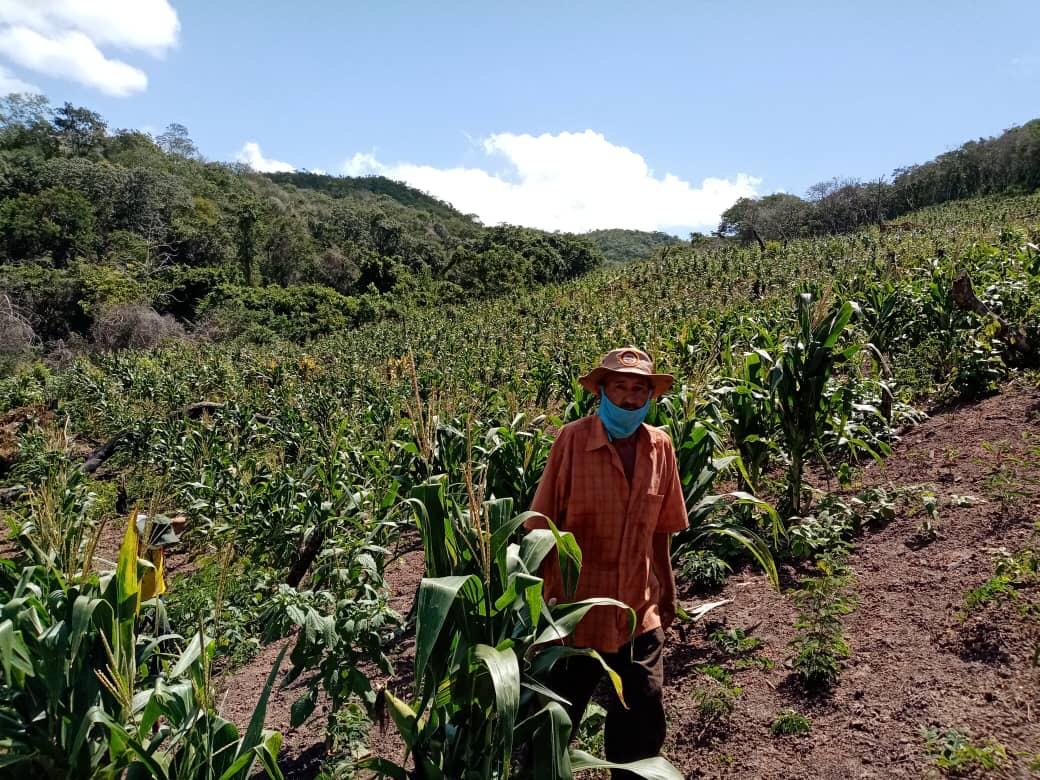 NicolasMaduro's tweet photo. Hoy #9Sep entregamos al país y enviamos a la ANC los 9 Vértices de la Gran Misión AgroVenezuela para convertirlos en Ley Constitucional. Vértices que surgieron de la consulta y el debate de las diversas fuerzas populares productivas y que llevan el espíritu del Comandante Chávez. https://t.co/ePdYeg5GzB