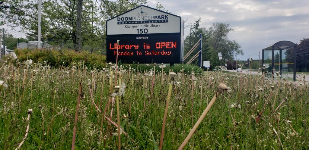 ProducerPaulie's tweet photo. This is how #Kitchener handles its grass cutting commitments in the summer. Anyone who thinks winter sidewalks will be better is dreaming.
E-mail your councillor now asking not to support this ridiculous proposal. Vote is on Monday. https://t.co/fElSxtSPGG #wrtalk #kw #kwawesome https://t.co/NEd2gCJ0pd