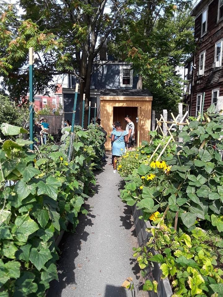 GreenRootsEJ's tweet image. This is why we do the food justice work, for the community! So great to see Chelsea’s urban farm being enjoyed by the community!