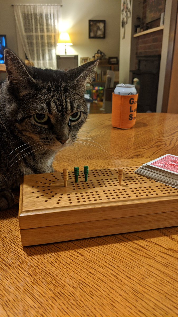 coolascotton's tweet photo. The good news, I stole the cribbage game by 2 points with 10 on my last hand. The bad news, Mito bites the pegs and pulls them out of the board while we are playing. #15for2 https://t.co/vj6ivoePsJ