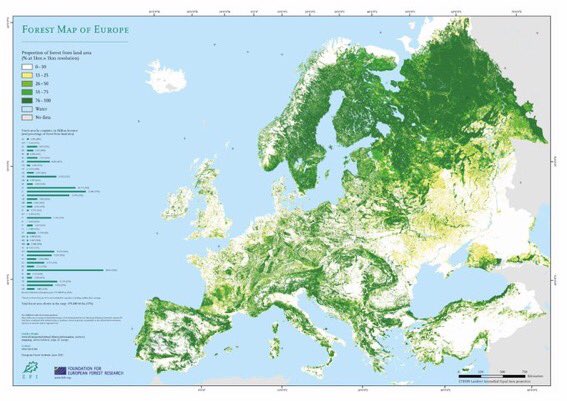 About 10% of land in England is covered by trees. A bit more when you include all the trees outside woods - in hedges, gardens etc. Even counting this, tree cover levels are way below the European average (map below shows forest cover across Europe)