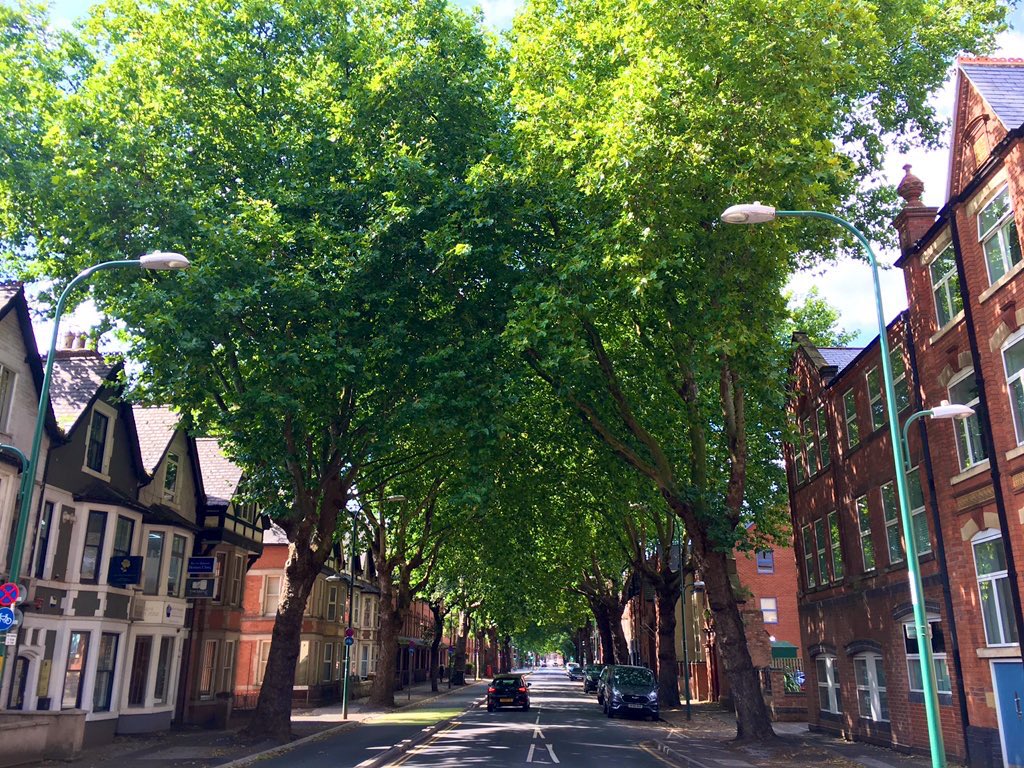 And finally, a reminder of what government strategies and policies are actually there for. This.  #EnglandTreeStrategy