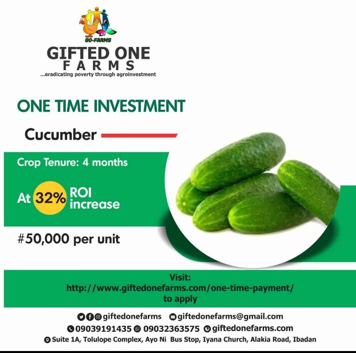 GiftedFarms's tweet photo. New Update!!!
Our One Time Package are currently closed until the coming year except that of cucumber and tumeric and all Long Term Package are opened to new and existing subscribers. 
Thank you for trusting us, see details below for information.
#GoFarms https://t.co/YethnUhQlx