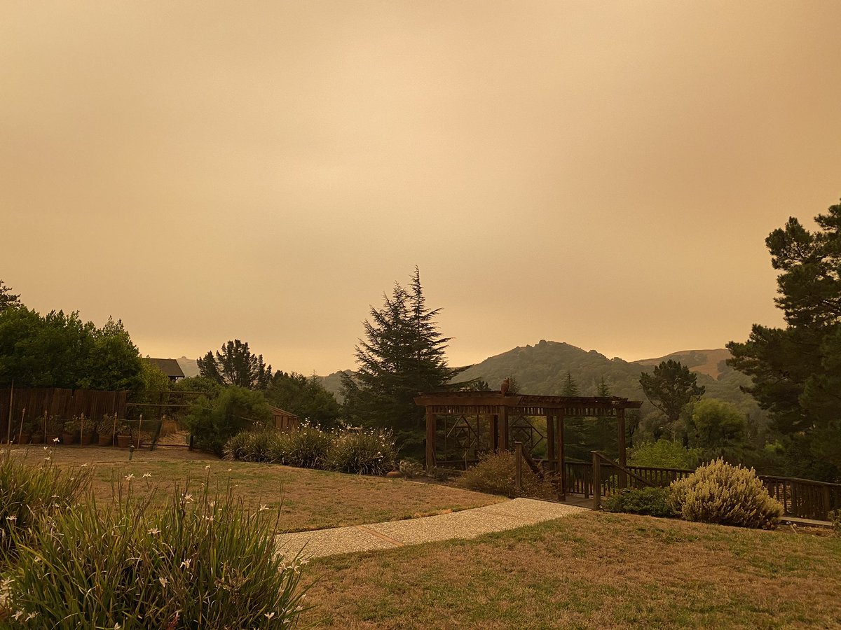 beafaustine's tweet photo. apocalyptic feels in the Bay today https://t.co/Y9tZvxybbI
