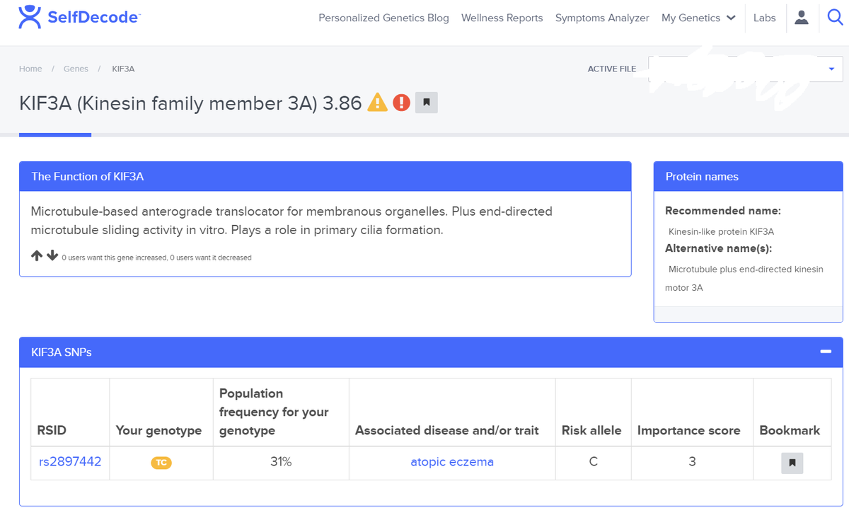 RespectingFA's tweet photo. 😯1st #genetic variant related to #foodallergy that I've found for son. I don't have this variant, his dad has same genotype. 
Son doesn't have other widely studied gene variants for FA.  He did have mild-moderate eczema for about 3 months as an infant. #selfdecode #seekanswers https://t.co/4O4jV0M4Kz