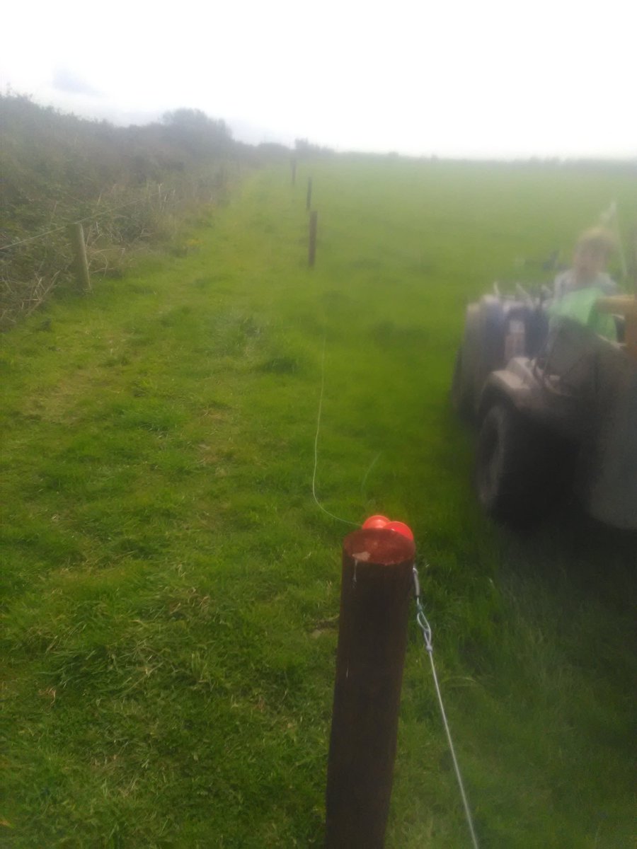 mountrivers12's tweet photo. couldnt have enough of these spur rd ways. especially with the way the weather is behaving. #grazinginfrastructure https://t.co/i0X3cyTgg6