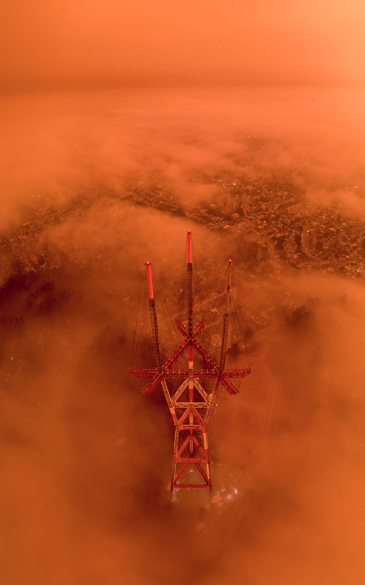 Helen Havlak tweet media