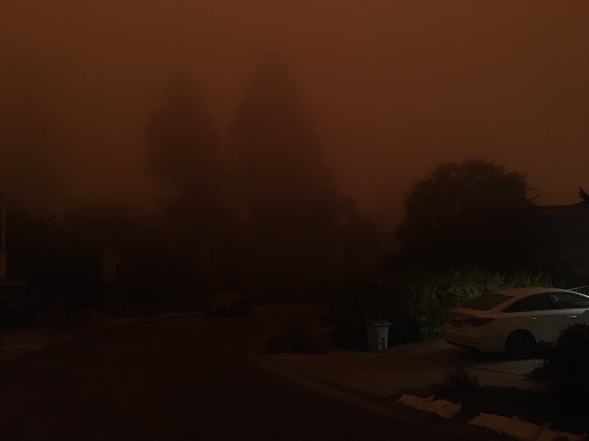 dubovision's tweet photo. Scene from Dante's Inferno in the North Berkeley Hills, 8:30 am, Wednesday https://t.co/HbyGNDXSJ5