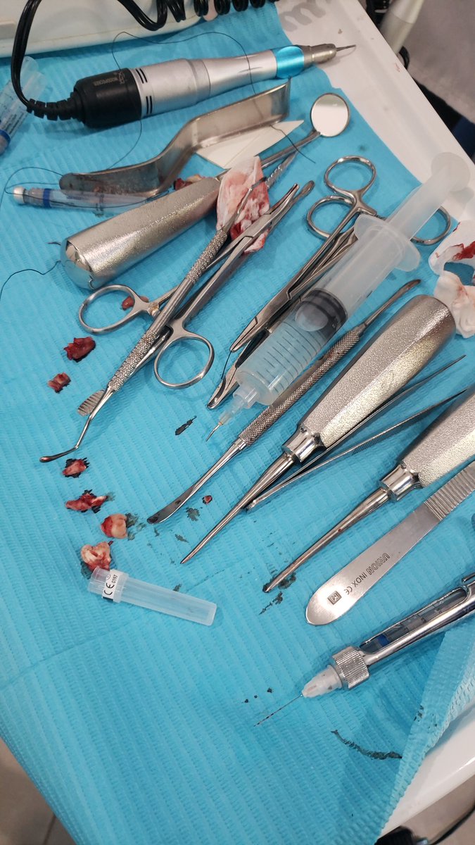 BabyRuth⭐YT tweet media