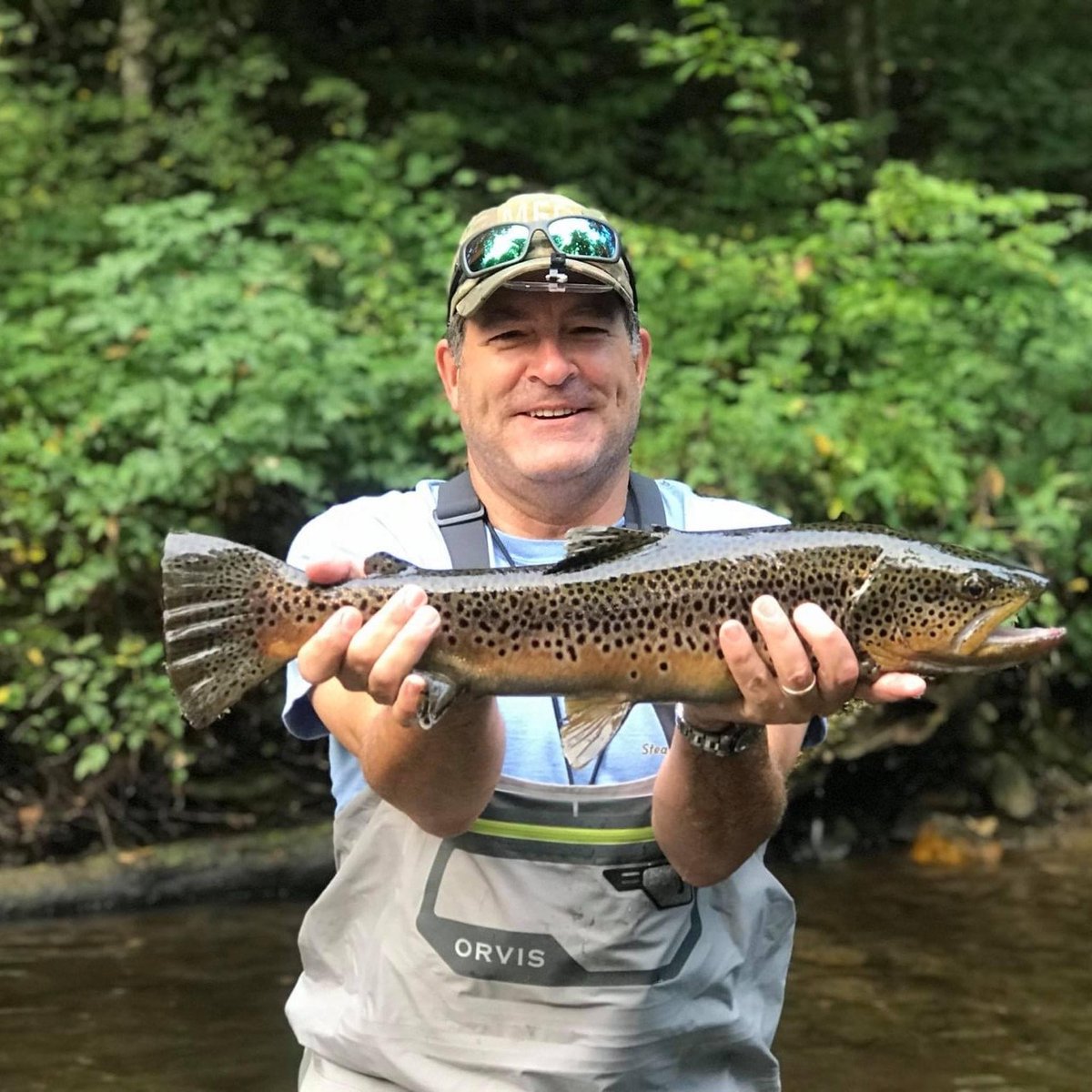 GreenInterchan1's tweet photo. "As an avid fly fisherman and outdoorsman, I care deeply about our environment...I came up with this idea as an easy way for everyday Tennesseans from both sides of the aisle to come together." @RepMarkGreen 
#Tennessee #carbonemissions #PlantTreesTN https://t.co/09mPGOqXgT