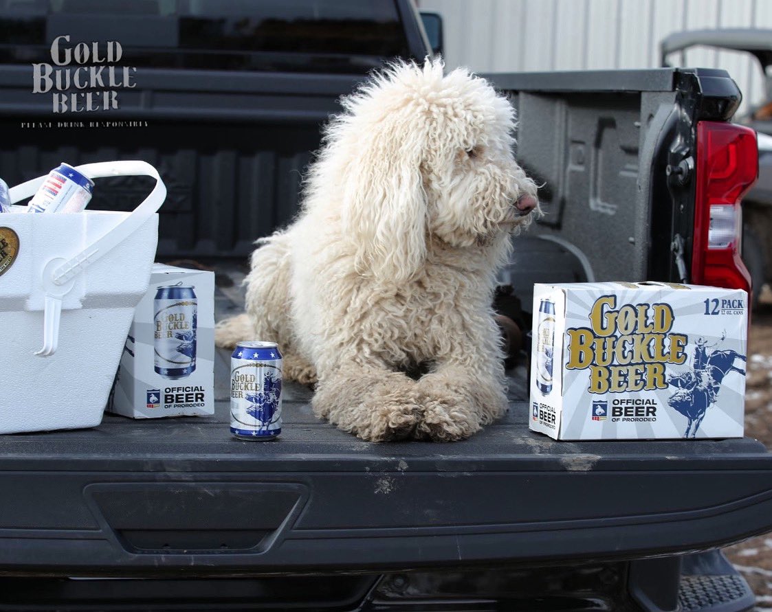 Get yourself a guard dog that protects your beer. #GoForTheBuckle #GoldBuckleBeer ⠀⠀⠀⠀⠀⠀⠀⠀⠀
•⠀⠀⠀⠀⠀⠀⠀⠀⠀
•⠀⠀⠀⠀⠀⠀⠀⠀⠀
•⠀⠀⠀⠀⠀⠀⠀⠀⠀
#DrinkResponsibly #Beer #Brewery #MadeInAmerica #Beerstragram #Rodeo #Cowboy #WeAreProRodeo