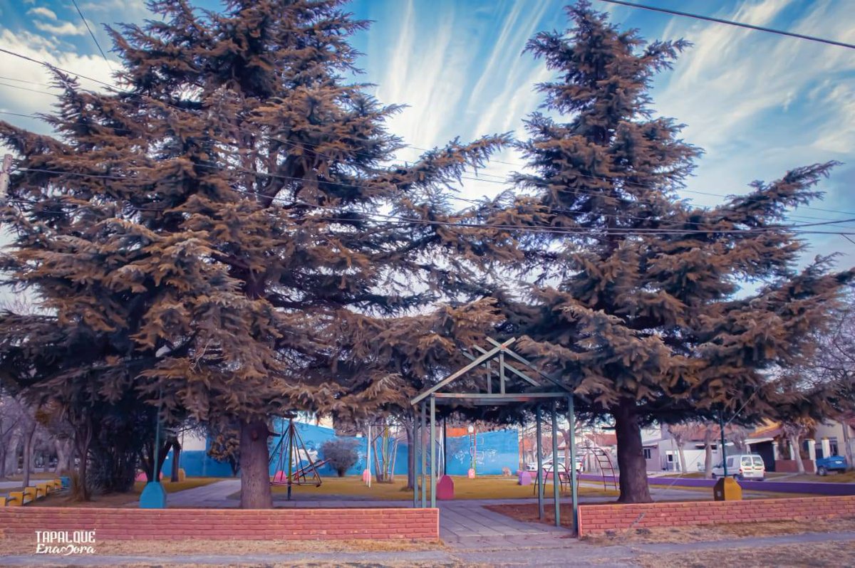 TapalqueEnamora's tweet photo. Quédate en casa, visítanos luego... Te mostramos la plaza "Malvinas Argentinas" 🌲❤️🌲 https://t.co/AcdK7cd0GJ