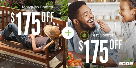 Get $175 off your new pest control or mosquito service this week only. Don't miss our biggest discount ever!
Visit hubs.ly/H0vW3j60 to claim now