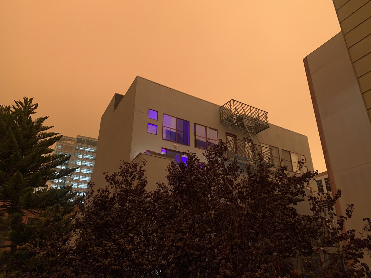 thizzinbelizzin's tweet photo. #BayArea #SanFrancisco #sanfranciscobayarea #cat #orangesky #wtf #disorienting #whatisthis #whatislife https://t.co/cDeNPAvCqH