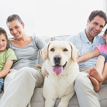 PShellharbour's tweet image. Call 0499 074 123 for a free quote or visit pestcontrolshellharbour.com