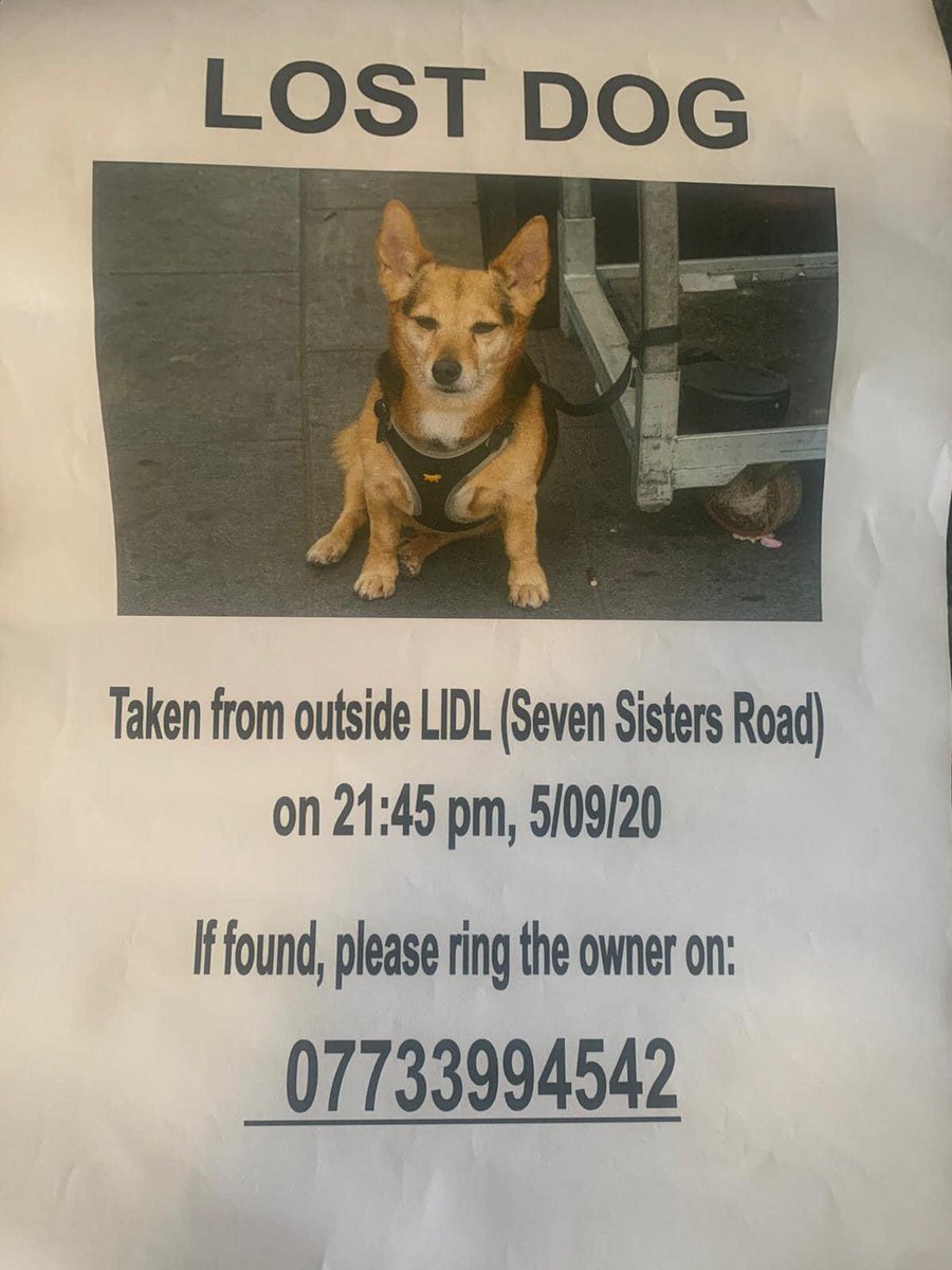 PLEASE RETWEET - Owner is a friend of my pal’s and is an elderly man. The poor dog is knocking on too. Never a good idea to tie your dog up outside a shop in this wicked world we now live in. But my guess, is the poor man didn’t realise that 🤷‍♀️🙏