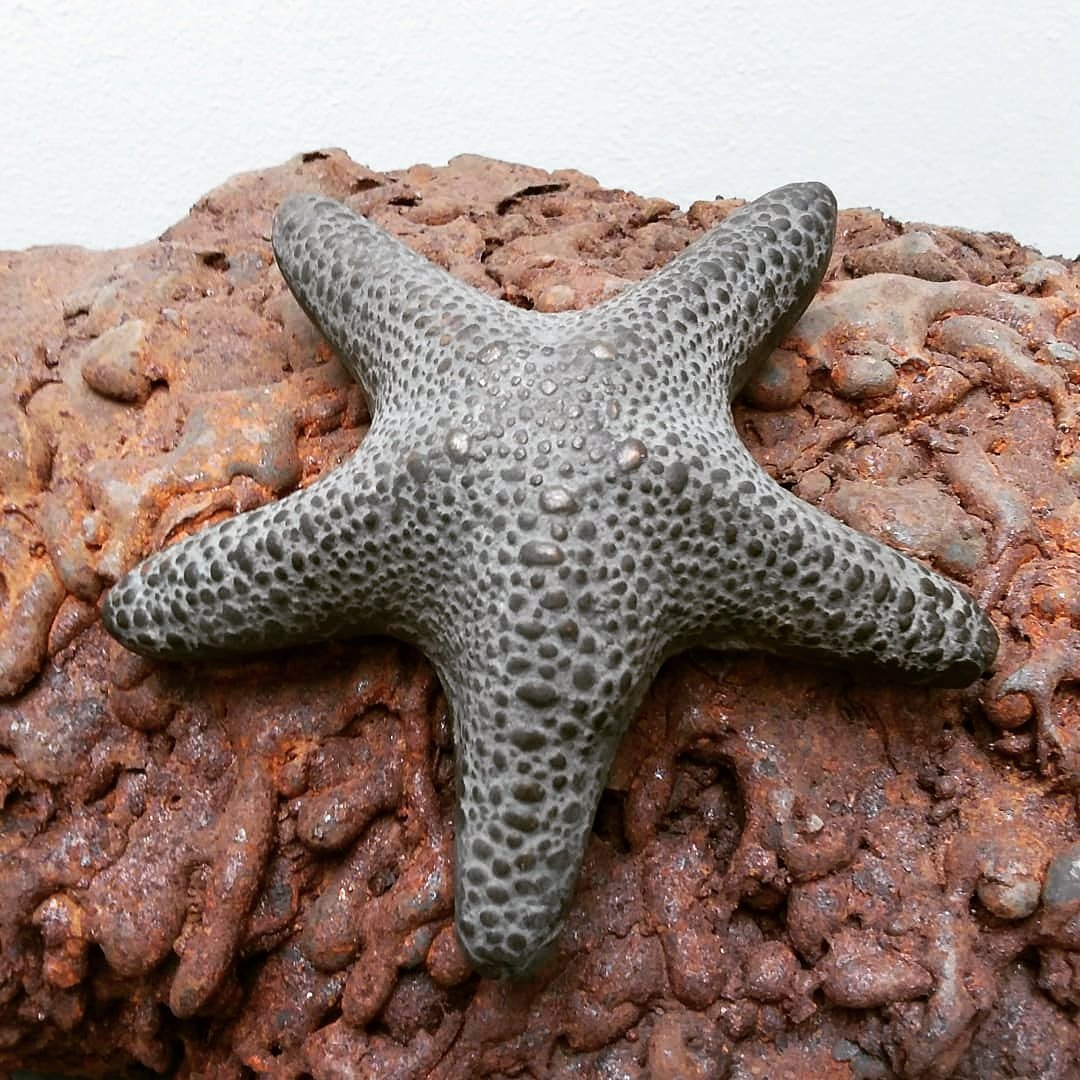 ryanpoliak's tweet photo. SEA STAR selected for the Royal Marine Artists Exhibition 2020 at The Mall Galleries London Opens 30th September - 10th October.
Sea Star is a sculpture depicting an Asteroidea (Starfish) feeding on a coral reef. https://t.co/ypGWwcvQAD