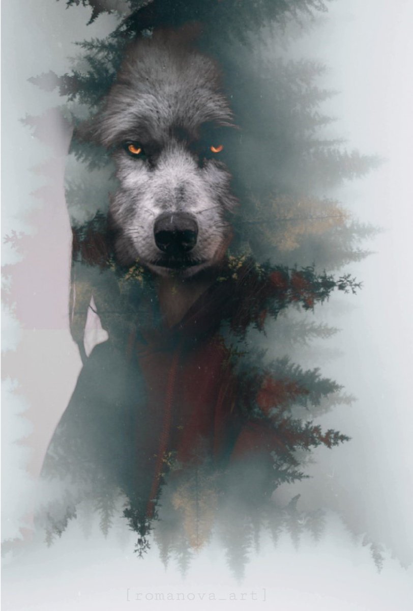 jessica_Yous's tweet photo. @SueliRizzi2 @TheLoneWolF_1 @_Jenzy__ @swydersk @Spencerjames211 @PetalsTm @lumpie125 @kittymayo7101 @_ItsAngelC @MaJaVi_ @Quinnqueens @SolyMar66091744 @GRAHAM15583070 @Annie22462736 @Tana_Pato @Qheeeeny @ElderAcost @Thelkhyarakhetl #TeamWolFPack
@TheLoneWolF_1 @_Jenzy__
@swydersk @Spencerjames211
@PetalsTm @lumpie125
@kittymayo7101 @_ItsAngelC
@MaJaVi_ @Quinnqueens
@SolyMar66091744
@GRAHAM15583070
@Annie22462736 @Tana_Pato
@Qheeeeny @ElderAcost
@Thelkhyarakhetl @SueliRizzi2
@jessica_Yous 
#WolFPetaLs
🐺🌹🐺 https://t.co/SDpSH6yfJz