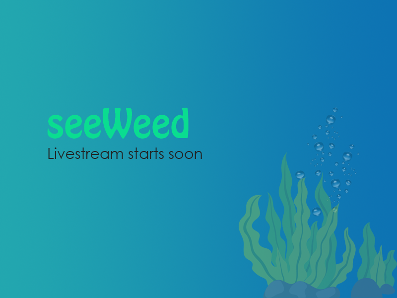 budwiser_nl's tweet photo. We're doing our first livecast tomorrow night - shall I wear a Beach shirt or dress for a Covid-controlled autumn instead?  Hey, this is Amsterdam, it's hard to choose! https://t.co/iMrPwoIlZW