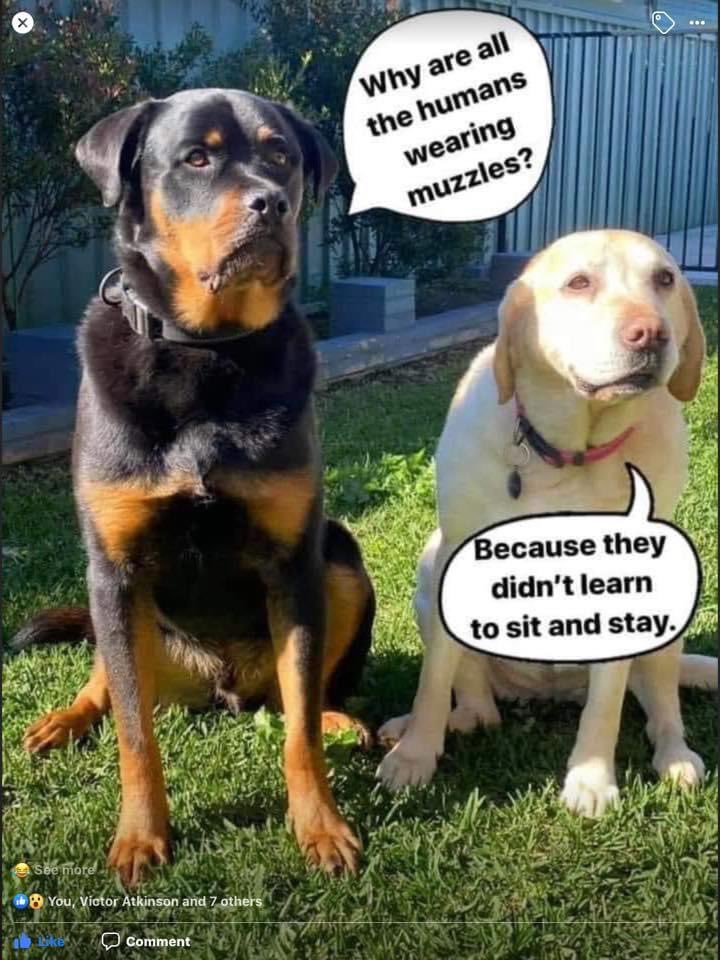 Rebecca Hyde tweet media