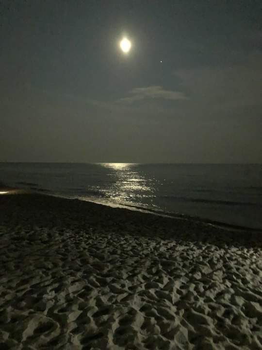 OrlaBeach's tweet photo. https://t.co/JfWwtgnKby