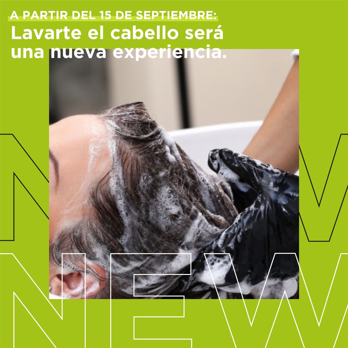 Beiabeauty's tweet photo. Hemos decidido por el bien de tu cabello, priorizando la calidad que nos caracteriza.
Un servicio de alta gama con un costo totalmente racional y justificado. 🤝
Más detalles pronto 📢 #beia® #beiaexpress® #beialavega #wedobeauty https://t.co/OiVYvkWKS9