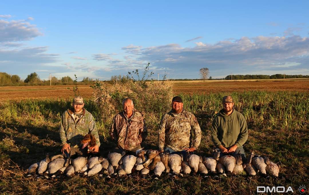 Rockymtnx's tweet photo. What an awesome opening week here in #Alberta. Limits of geese on all 3 hunts and ducks once.
#DMOA @BenelliCanada #SBE3 https://t.co/aA97fMvOMT