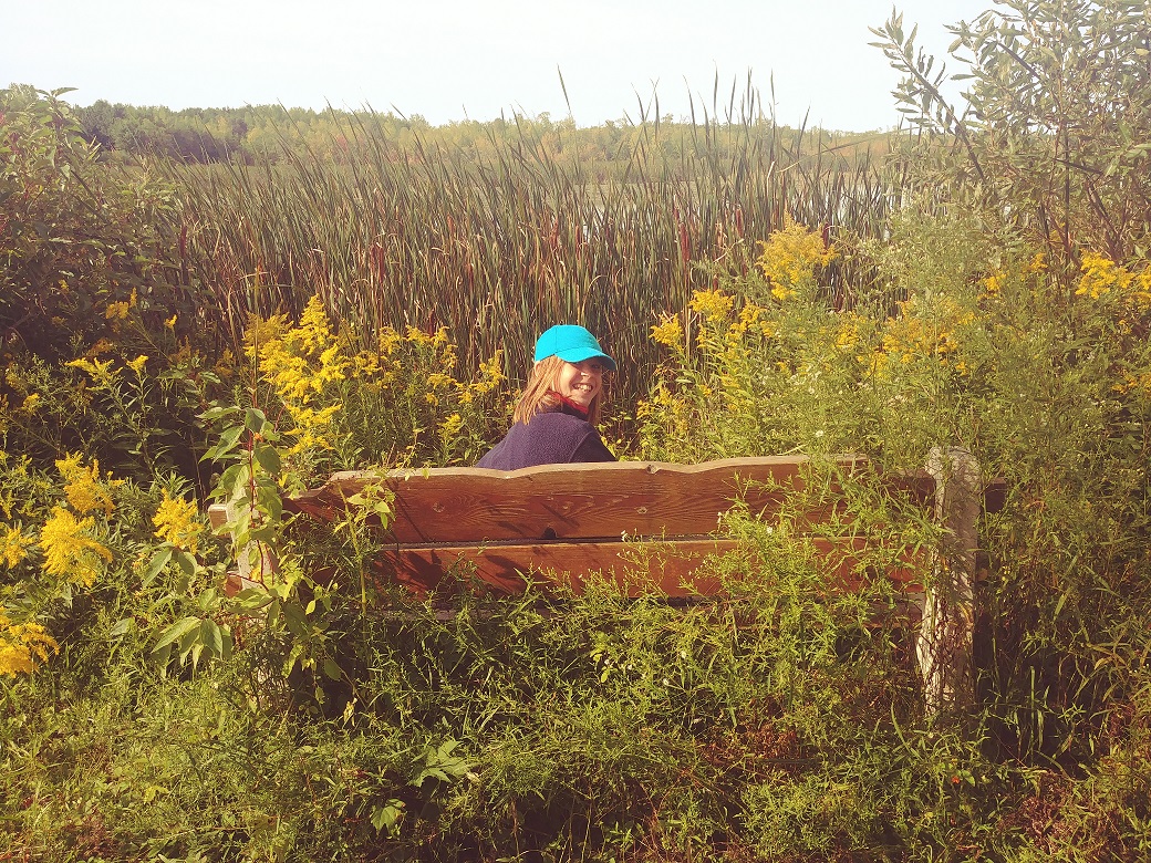 DUContario's tweet photo. Looks like plant growth was bountiful at Tiny Marsh this summer! We collaborated 40 years ago with @ONresources to restore the wetland functions at Tiny Marsh (1979). #benchmark #hiddenview #legacy https://t.co/nrQMdTmsOn