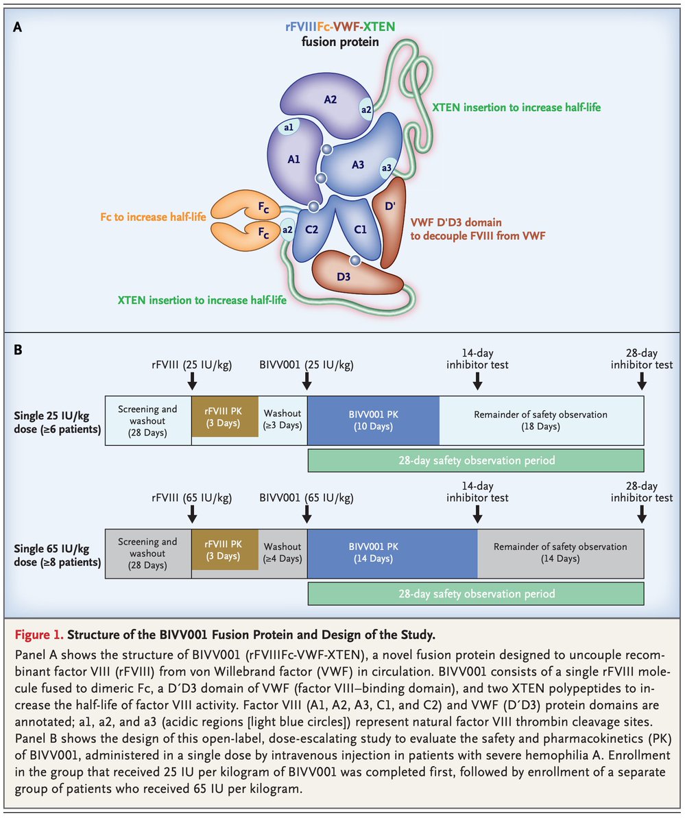 Michael Makris tweet media
