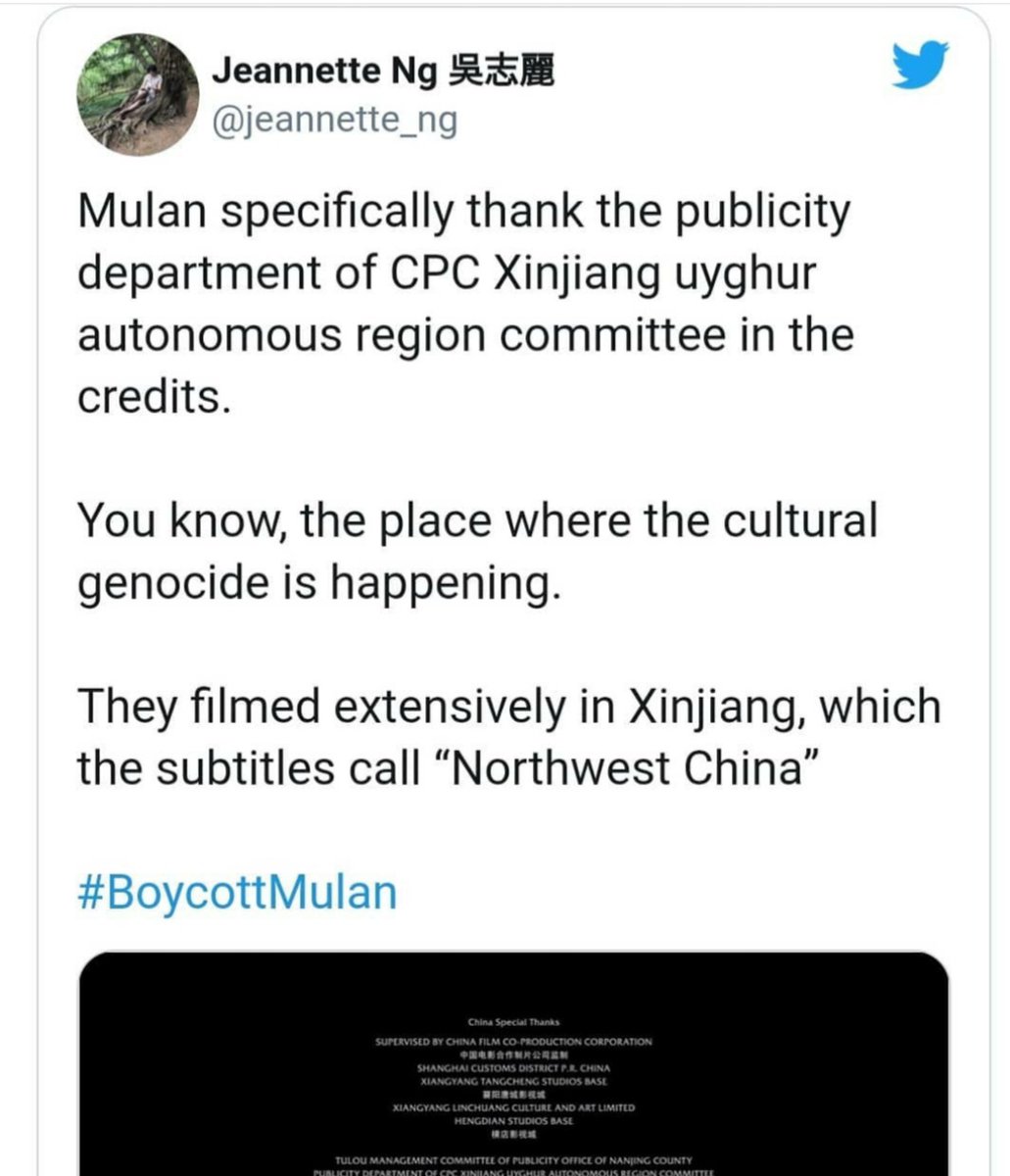Novelist Jeanette Ng Also Tweeted That In "Mulan," Xinjiang Is Referred To Simply As Western China. #FreeUyghurs