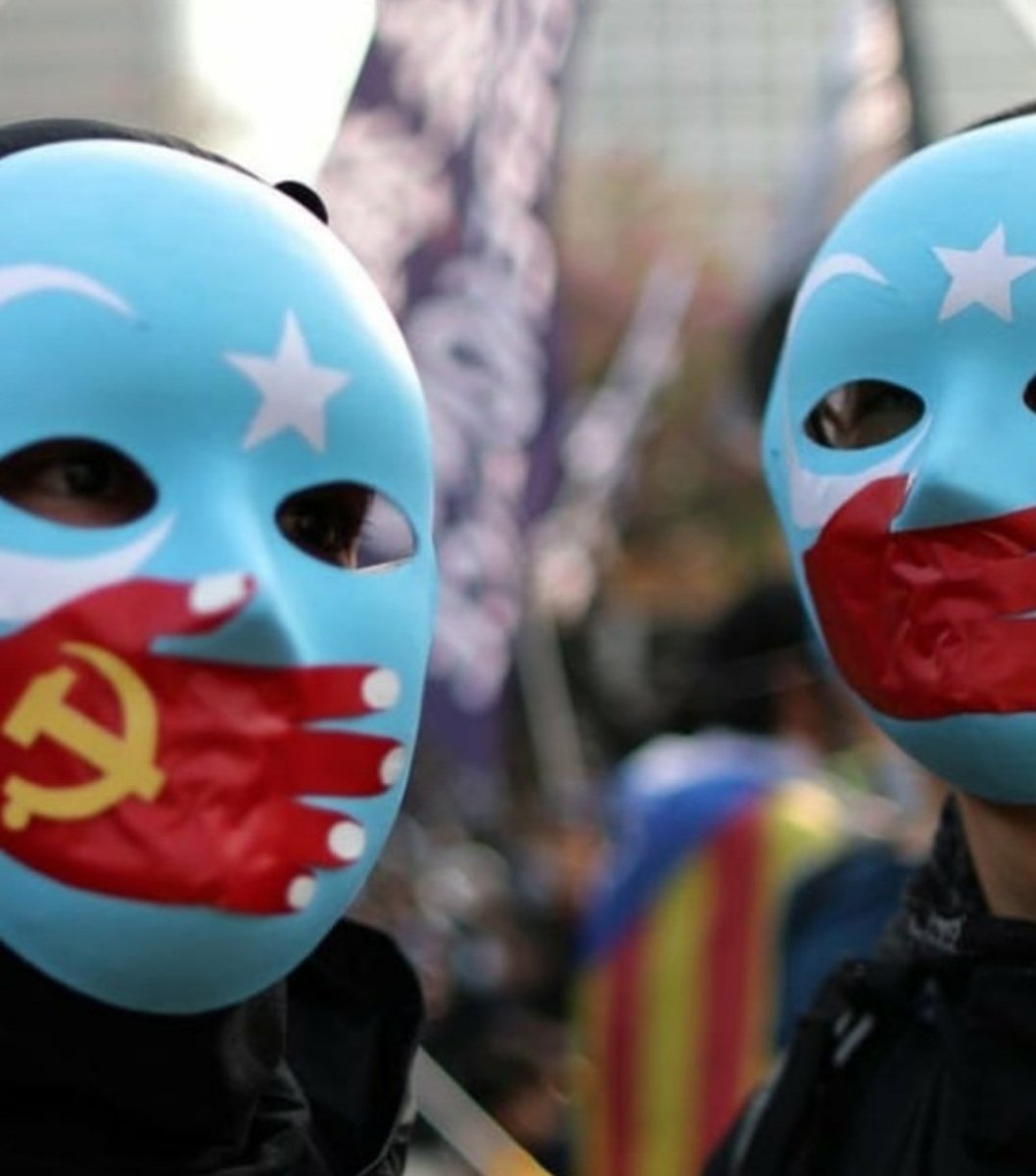 Joshua Wong, A Prominent Human-Rights Activist From Hong Kong, Tweeted: "When You Watch  #Mulan  ....You're Potentially Complicit In The Mass Incarceration Of Muslim Uyghurs. #FreeUyghurs #BoycottMulan