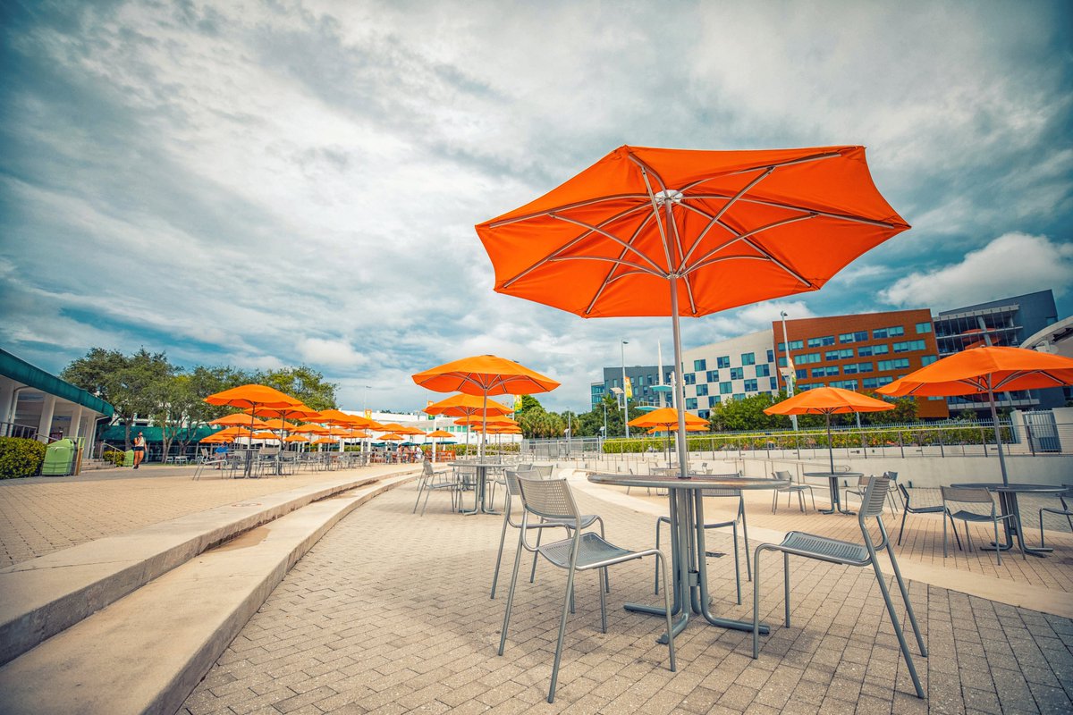 univmiami's tweet photo. On a scale from 😍 to 😍😍😍 how amazing are these views? #umiami https://t.co/bblvjwHHEI