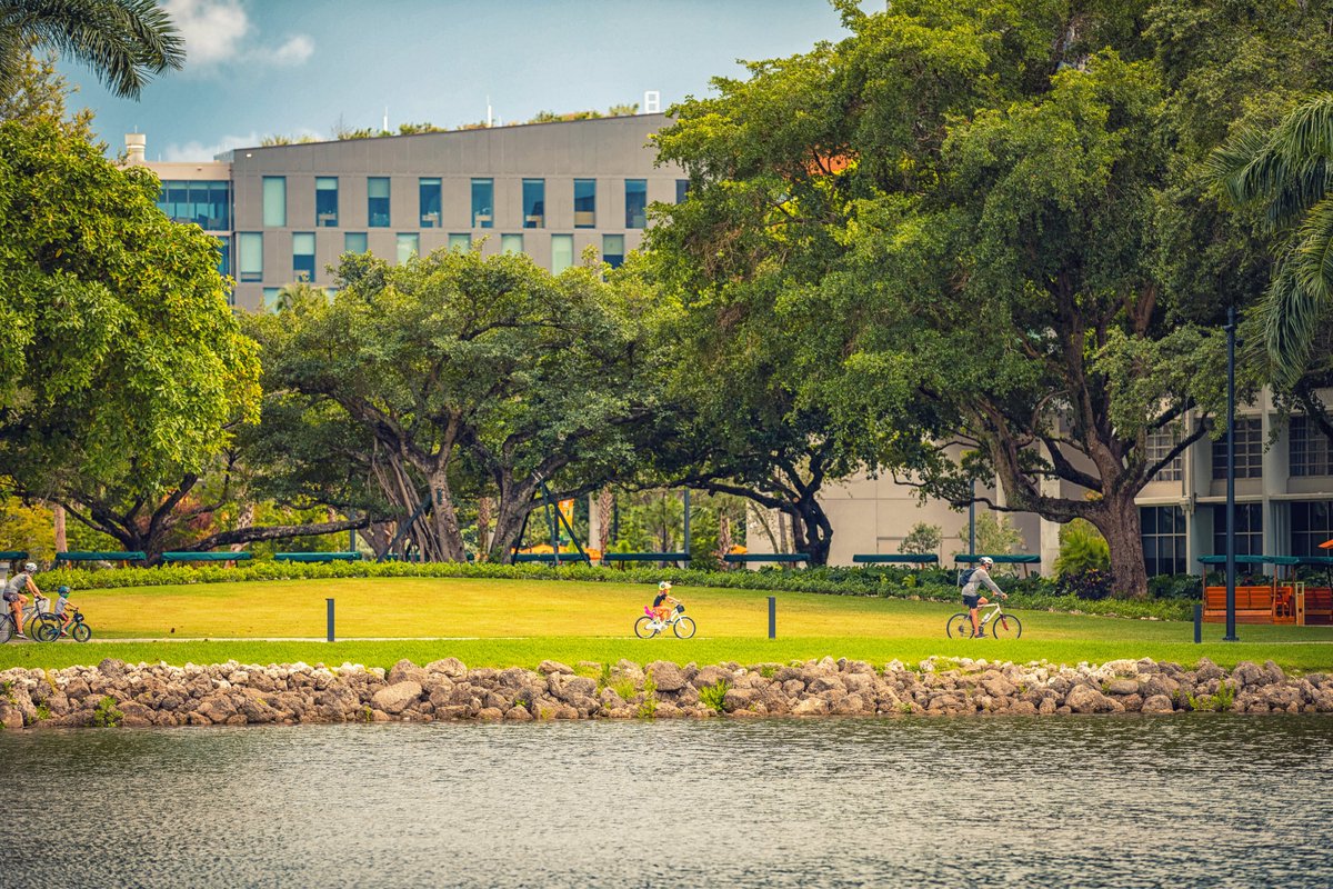 On a scale from 😍 to 😍😍😍 how amazing are these views? #umiami