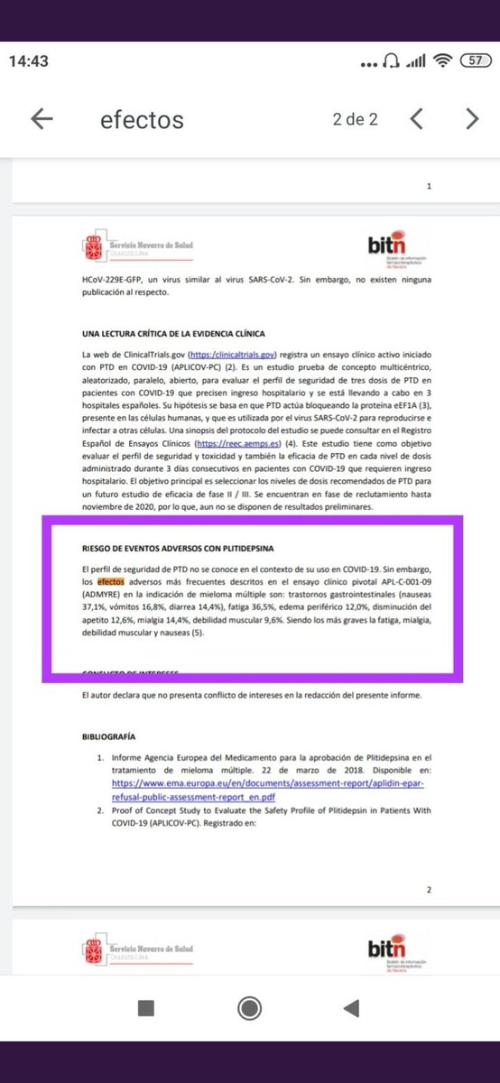 HAZIEL 36-42-78 tweet media