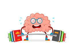 u_kruz's tweet photo. Tip del Día 

Hacer ejercicio mejora la actividad mental https://t.co/XJD4vWs1d5