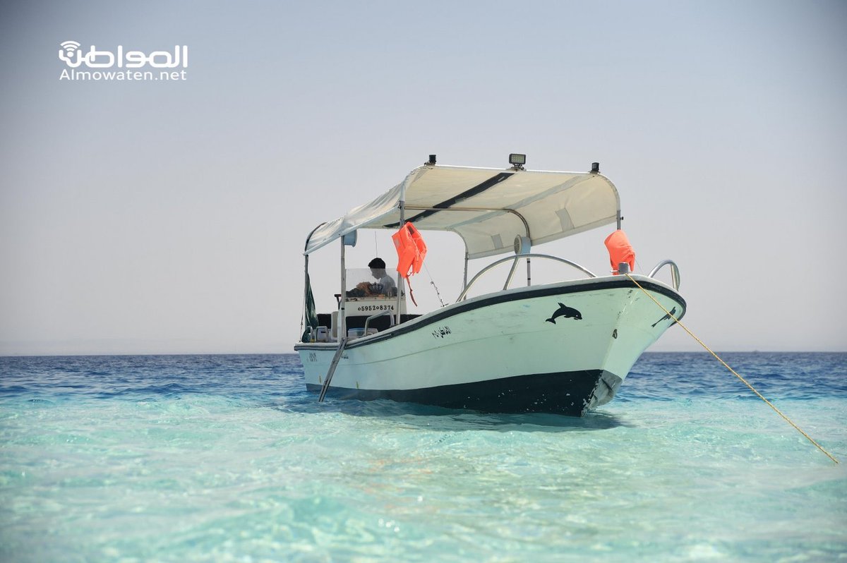 39+ منتجعات نيوم السعودية Pictures