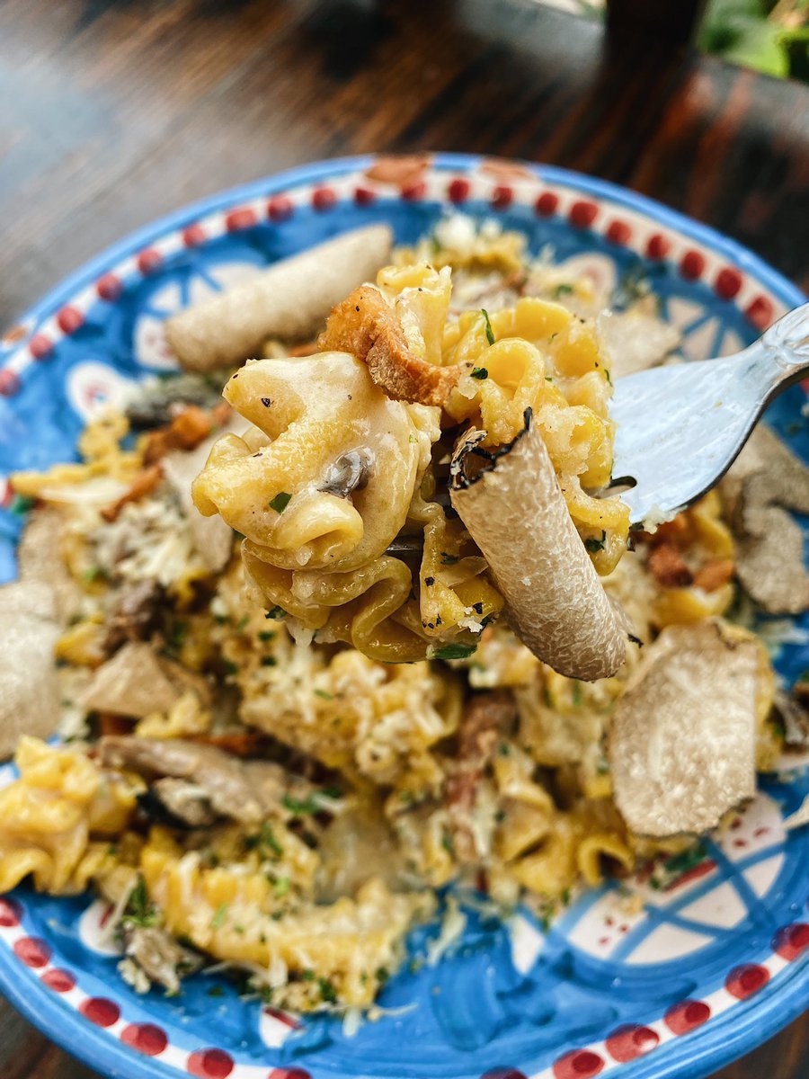 yoitsholly's tweet photo. took myself on a little lunch date at #Cesarina
- crispy octopus, chickpea purée, roasted chickpeas, fennel, orange. maybe my favorite octopus in #sandiego rn.
- mafalde, funghi sauce, added guanciale and black truffle because i deserve https://t.co/6dXpH20JZp