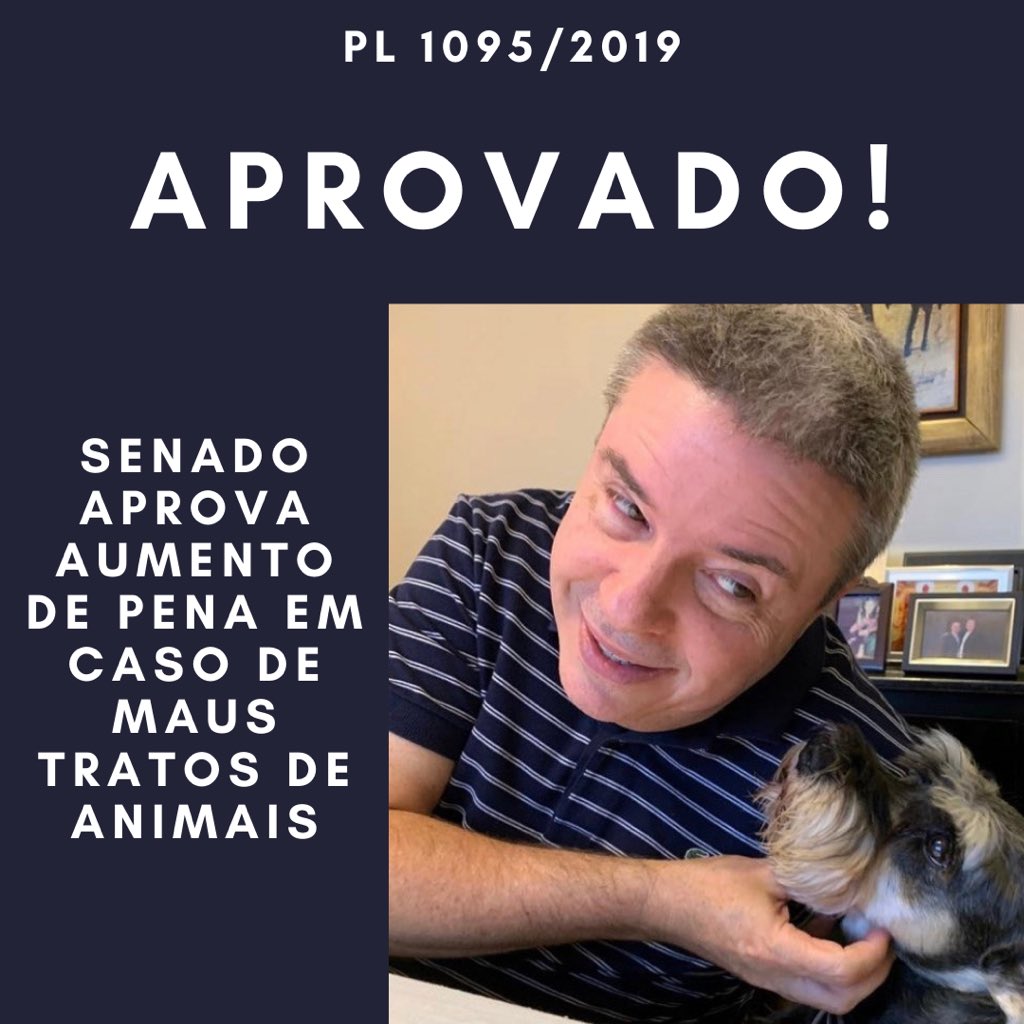 Quem me acompanha sabe da minha atuação em defesa da vida e dos animais. Hoje conseguimos a aprovação aqui no Senado do projeto que aumenta as penas para quem praticar ato de abuso, maus-tratos, ferir ou mutilar cães e gatos (PL 1095/2019). Uma grande conquista. https://t.co/tVO5LYCrxt
