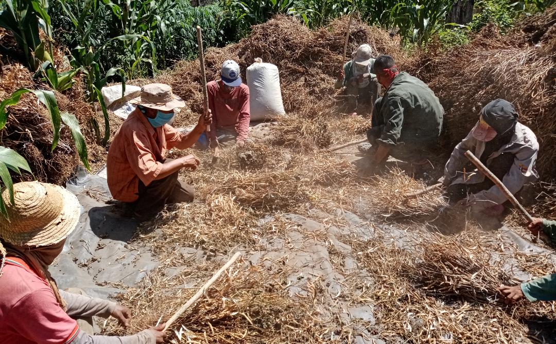inti_ve's tweet photo. #9Sep | Durante el lapso 2016-2020, el @inti_ve ha adjudicado 115.714 instrumentos agrarios. Ese total de instrumentos agrarios han regularizado una superficie total de 3.767.683 Ha. beneficiando a 462.856 grupos familiares.
#AgroVenezuelaSembrandoFuturo https://t.co/vRVFqi1YdZ