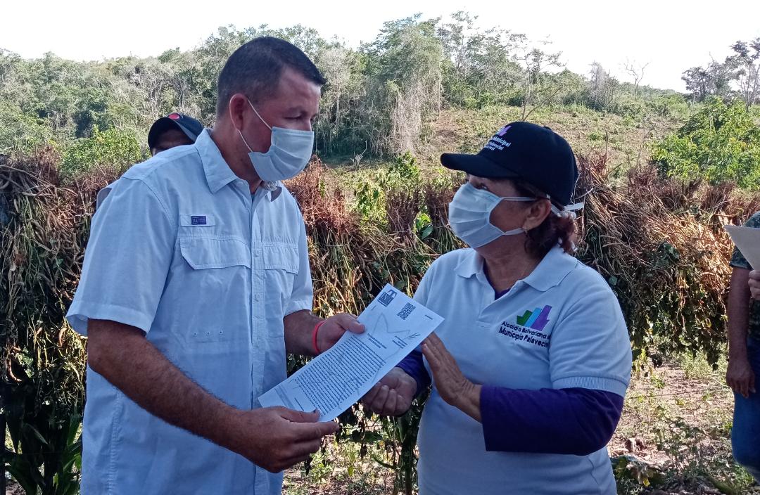 inti_ve's tweet photo. #9Sep | Durante el lapso 2016-2020, el @inti_ve ha adjudicado 115.714 instrumentos agrarios. Ese total de instrumentos agrarios han regularizado una superficie total de 3.767.683 Ha. beneficiando a 462.856 grupos familiares.
#AgroVenezuelaSembrandoFuturo https://t.co/vRVFqi1YdZ